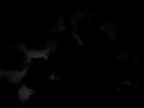  781  2734166425279544422_1475294580.jpg