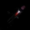  1057  squid7a.jpg